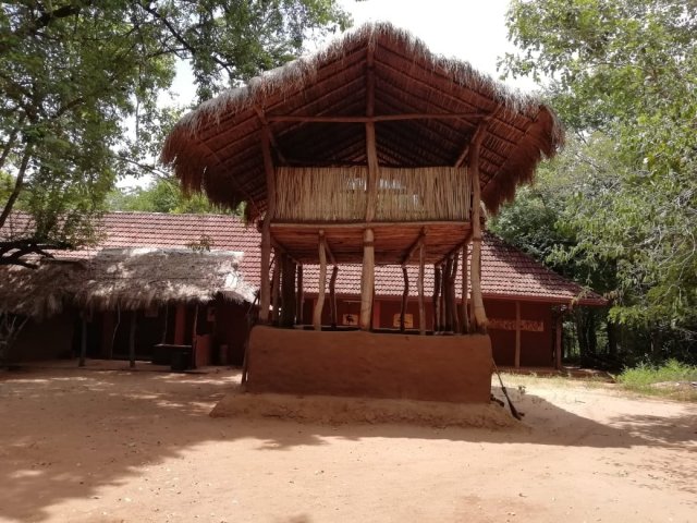 ලෝක වැඩිහිටි දිනයට