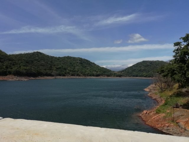 ලෝක වැඩිහිටි දිනයට