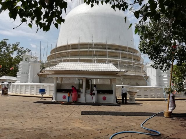 ලෝක වැඩිහිටි දිනයට